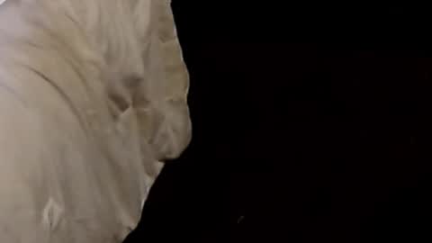 Sparkx online show from 09-09-25, 01:05