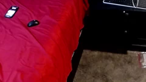 Sparkx online show from 09-28-25, 05:13