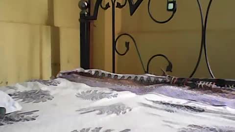 Dick balls online show from 08-09-26, 02:46