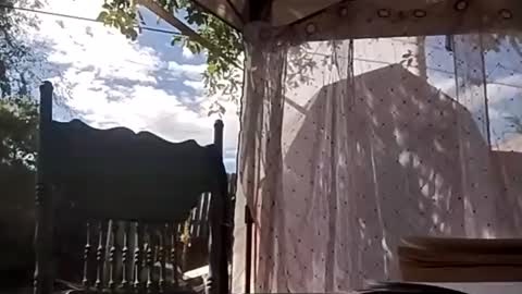 Dickscobals online show from 09-14-25, 08:41