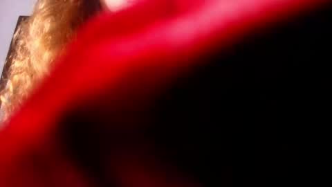 Diane online show from 02-26-25, 07:16