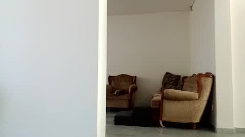 Snapshot of diegomoreno19 chatting on 12-15-24, 06:04 Diego online show from 12-15-24, 06:04