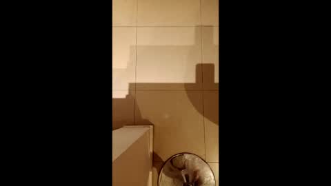 Snapshot of diegomoreno19 chatting on 02-21-26, 10:33 Diego online show from 02-21-26, 10:33