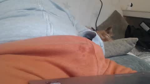 DiegoVLC online show from 03-20-26, 11:37