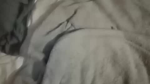 Daddy online show from 10-10-25, 04:44