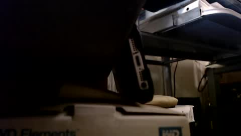 Snapshot of digbird1 chatting on 01-13-25, 01:13 dbNorth online show from 01-13-25, 01:13