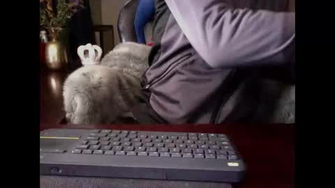 The Digital Pimp.... online show from 05-03-26, 01:17