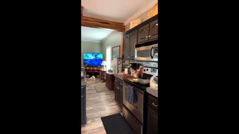 DILIS online show from 06-08-26, 10:32