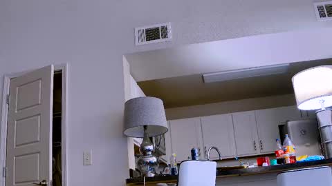 Dilldough405 online show from 02-11-25, 09:56