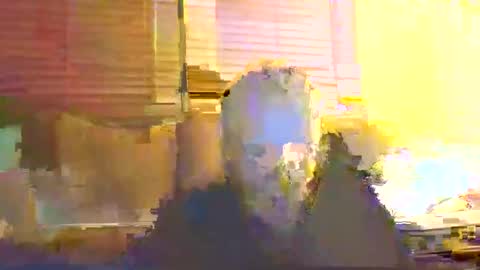 Snapshot of dingleberryjonesmagee chatting on 10-25-25, 10:26 dingleberryjonesmagee online show from 10-25-25, 10:26