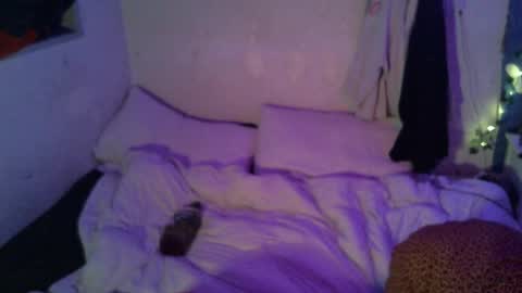 Snapshot of dipptripper chatting on 04-16-26, 10:05 Thomas OMalley online show from 04-16-26, 10:05