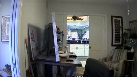 Snapshot of dirkpitt223 chatting on 01-03-25, 04:37 DirtkPitt Fun guy working online show from 01-03-25, 04:37