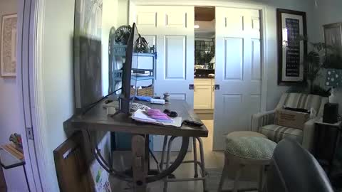 Snapshot of dirkpitt223 chatting on 02-01-25, 06:40 DirtkPitt Fun guy working online show from 02-01-25, 06:40