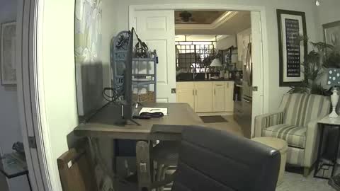 Snapshot of dirkpitt223 chatting on 02-09-25, 06:01 DirtkPitt Fun guy working online show from 02-09-25, 06:01