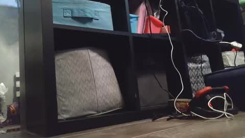 Daisy Wylde online show from 12-27-24, 11:21