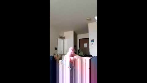 discreetmt online show from 06-11-26, 01:42