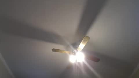 Snapshot of disr3sp3ctfully_dipp3d chatting on 12-16-24, 08:37 Your Best Worst Nightmare online show from 12-16-24, 08:37