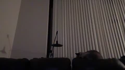 DJ Chaterbate online show from 01-14-26, 04:07