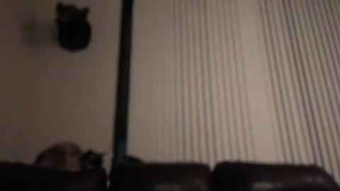 DJ Chaterbate online show from 02-04-26, 08:31