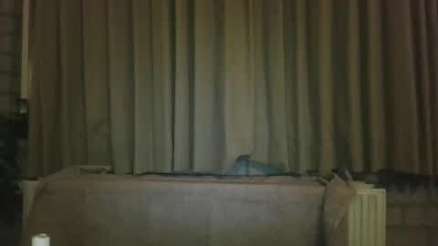 Snapshot of djensenhc chatting on 01-11-26, 11:32 djensenhc online show from 01-11-26, 11:32