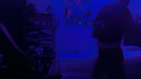 Dogboi online show from 06-25-26, 04:34