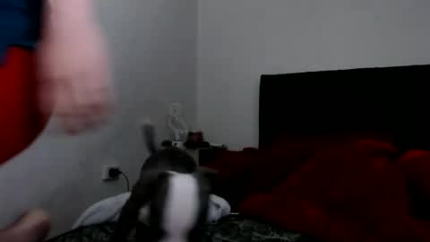 Catherine XXX online show from 02-08-25, 09:03