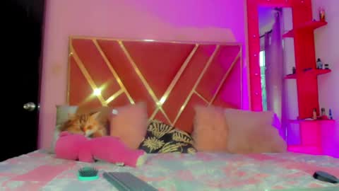 dollcute_latin online show from 05-01-26, 10:03