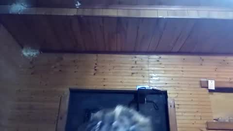 Snapshot of dollface_89 chatting on 09-29-25, 03:00 dollface_89 online show from 09-29-25, 03:00