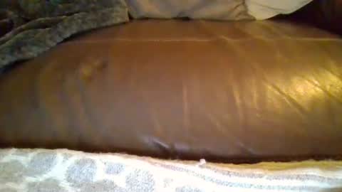 dom91070 online show from 02-08-26, 10:02