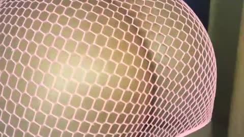 domina25430 online show from 02-25-25, 01:39