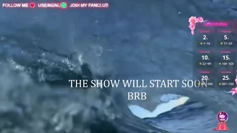 I WILL BE BACK ON WEDNESDAY DECEMBER 4 0100AM COLOMBIA TIME    online show from 03-06-25, 09:58