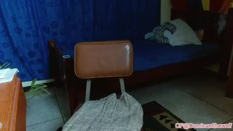 Logan - INDEPENDET MODEL online show from 05-11-26, 05:46