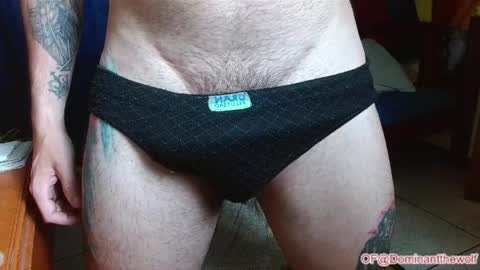 Snapshot of dominantthewolf chatting on 05-27-26, 05:04 Logan - INDEPENDET MODEL online show from 05-27-26, 05:04