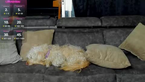 SANTI  independent model online show from 02-20-25, 03:12