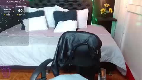  D O M I N K  online show from 01-31-25, 08:33