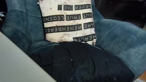 Snapshot of dondiego9999 chatting on 01-06-25, 08:07 dondiego9999 online show from 01-06-25, 08:07