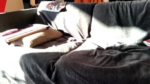 Alfredo online show from 12-16-24, 11:44