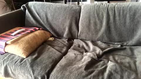 Alfredo online show from 01-14-25, 11:10