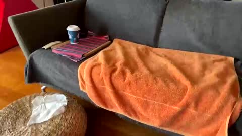 Snapshot of donizetti2017 chatting on 05-19-26, 08:53 Alfredo online show from 05-19-26, 08:53