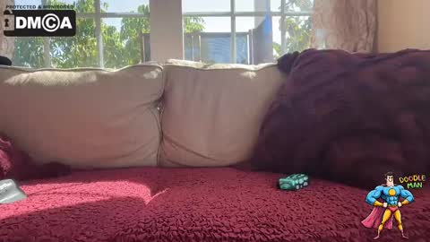 doodleman2077 online show from 10-07-25, 09:56