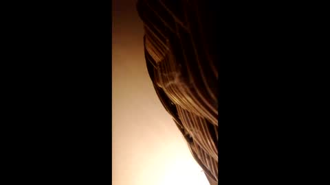 doreanse7327952 online show from 02-06-26, 07:17