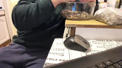 menu  below online show from 01-01-25, 12:00