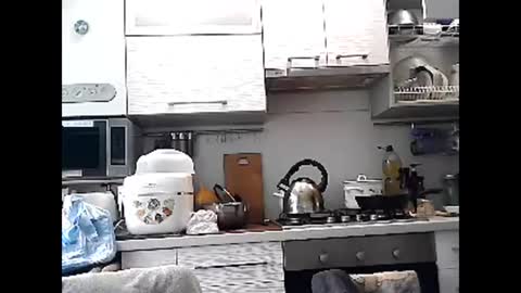 Dorrie Ann online show from 03-01-25, 08:13