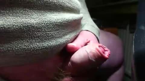 Snapshot of doscard chatting on 12-14-24, 11:34 doscard online show from 12-14-24, 11:34