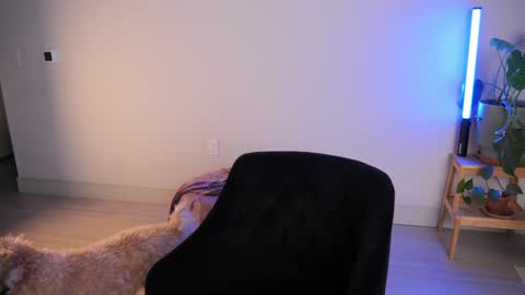 Sara online show from 10-18-25, 02:36