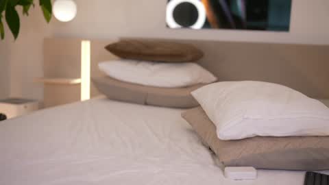    .         . online show from 12-05-25, 08:01