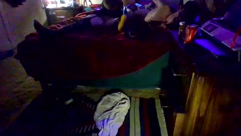 Driver Dick  Kylie Tits online show from 02-09-26, 05:00