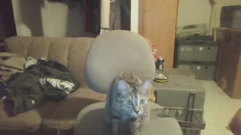 Snapshot of drac2009 chatting on 01-28-25, 05:11 drac2009 online show from 01-28-25, 05:11