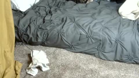 Snapshot of dreadedted chatting on 02-13-26, 04:58 Dreadedted online show from 02-13-26, 04:58