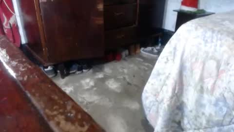 dreamreal online show from 12-28-24, 09:52